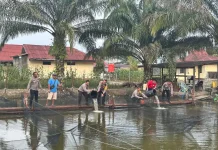Kapolres Melawi Tabur 3.000 Benih Ikan di Polsek Nanga Pinoh